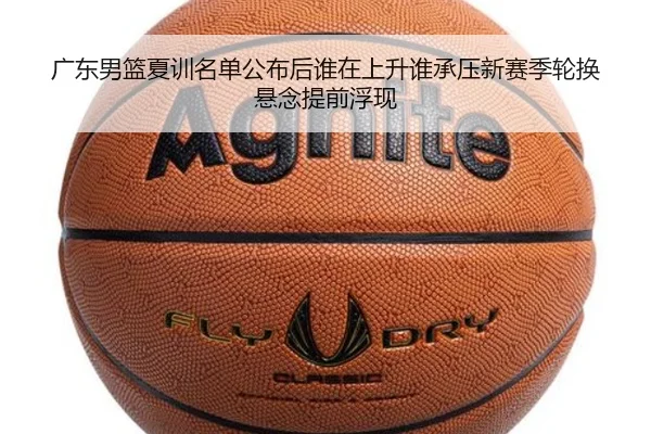 img_1780471841858_46_1_483.jpg